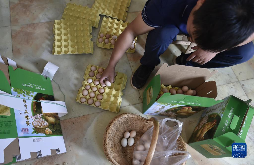 扎金花游戏厅